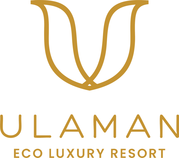 Ulaman